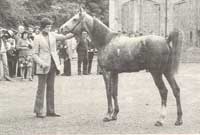 FLORAC 1976 - Persick gagnant des 115 km en 6 h 15 mn