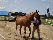 Photo Manue GILET