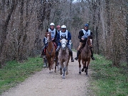 Photo F Cosquer