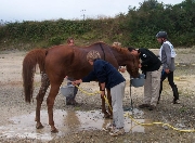 Photo superu et COREMA