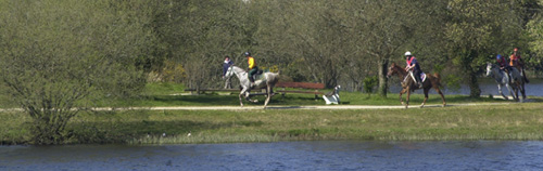 hlg93.jpg
